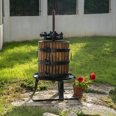 Pensiunea Annalisa Guest house