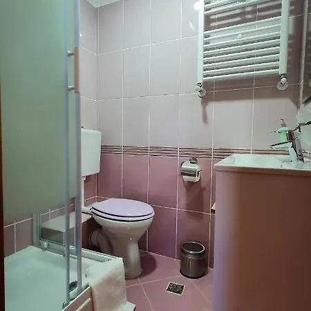 Pensiunea Annalisa Guest house